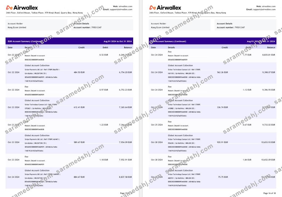 Hong Kong Airwallex Limited account statement, 18 pages 8